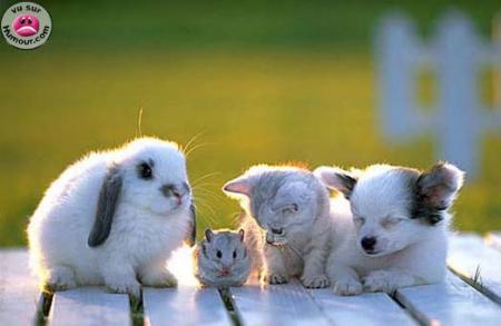 Petite famille !