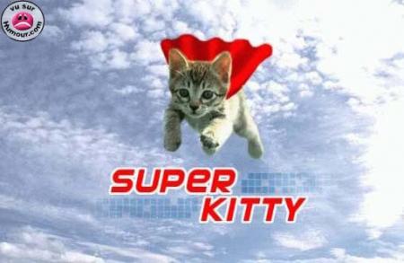 Super Kitty !!!