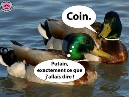 Dommage...