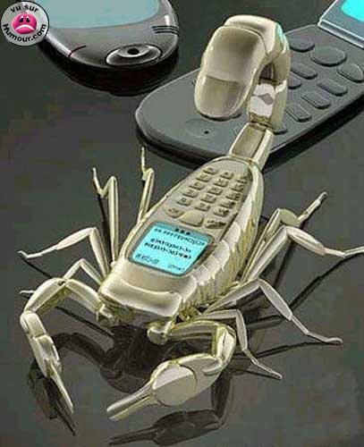 Scorpion