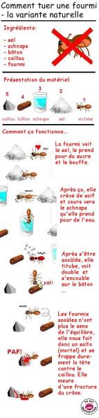 Lisez bi1 jusqu'à la fin !!!